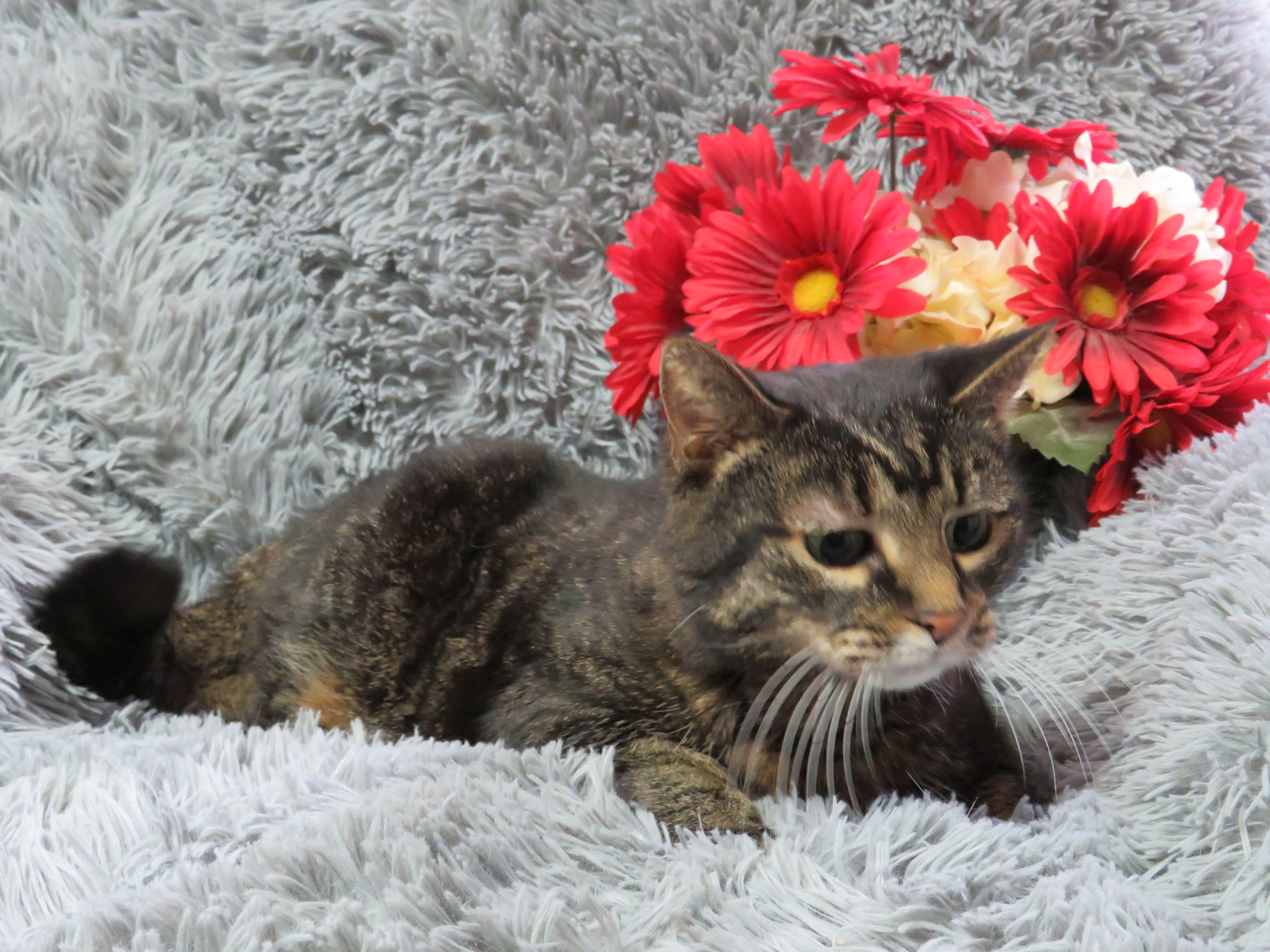 Bright Eyes thumbnail 3