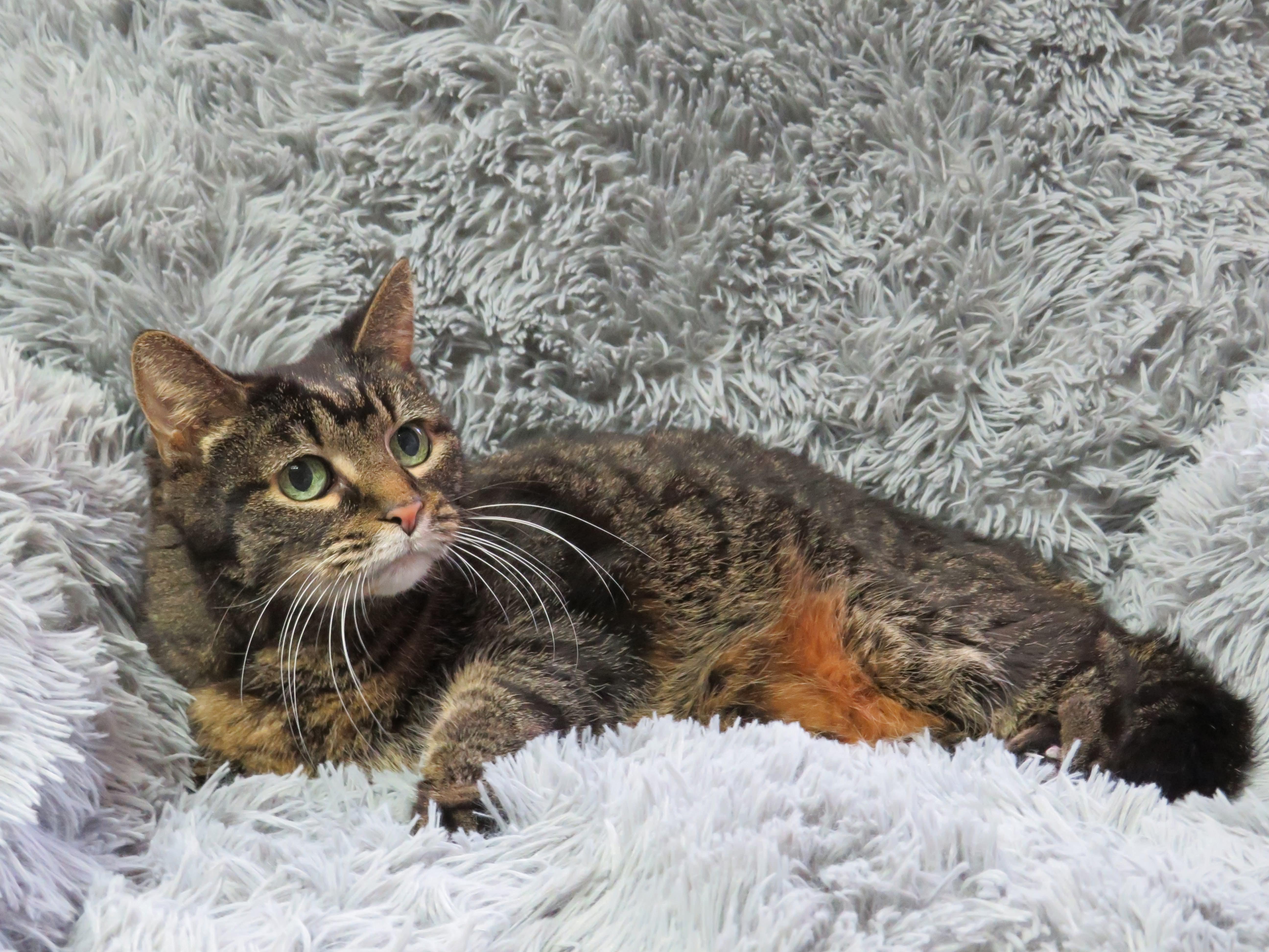 Bright Eyes thumbnail 4