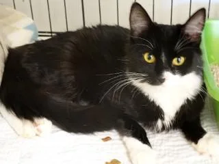 Nellie thumbnail 2