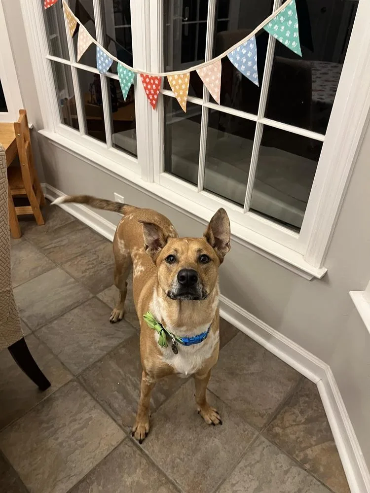 Finley