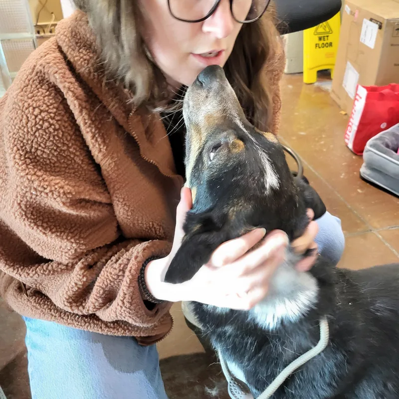 Skippy thumbnail 2