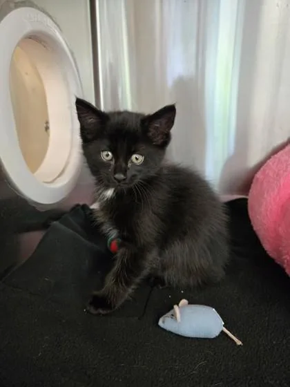 Leroy