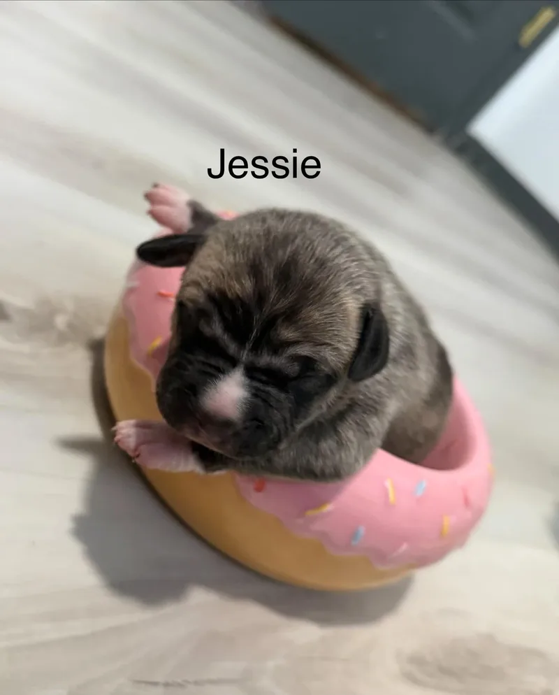 Jesse thumbnail 3