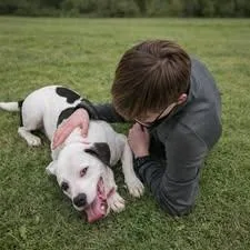 Tuxedo  Pups For thumbnail 2