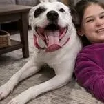 Tuxedo  Pups For thumbnail 3