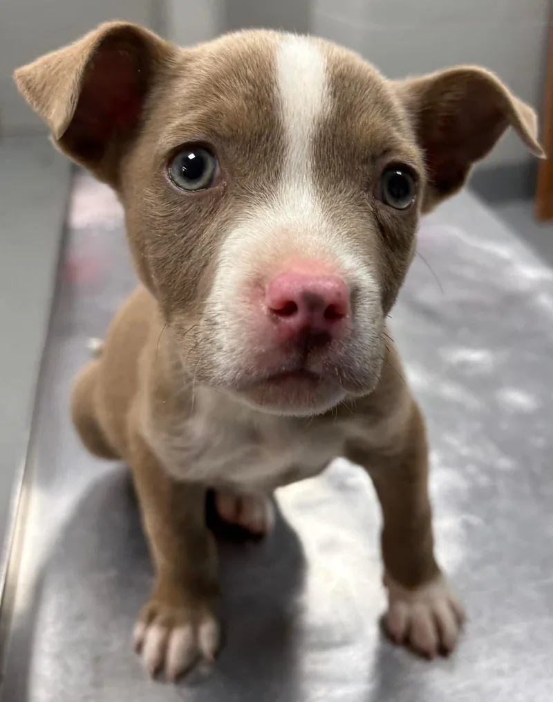 Willie B 🩵 thumbnail 2