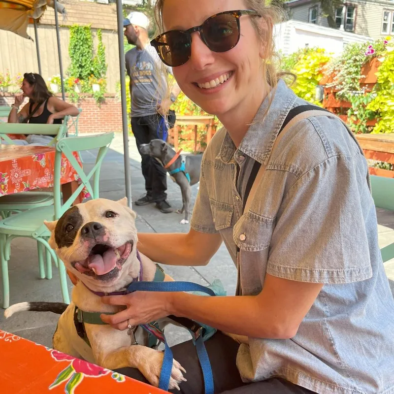 An adult large-sized female White / Cream Mixed Breed dog named Matilda for adoption in Bangall, NY