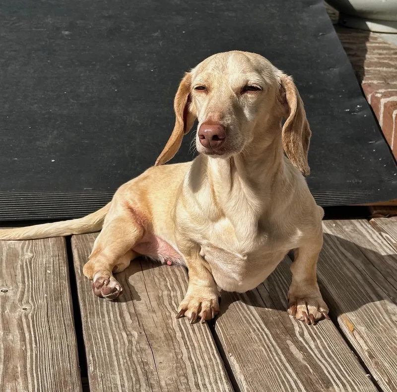 Luna In Ky thumbnail 2