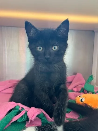 Luna