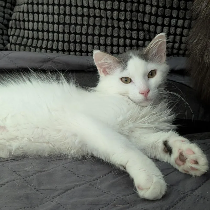 Qtip Aka Tipsy thumbnail 2