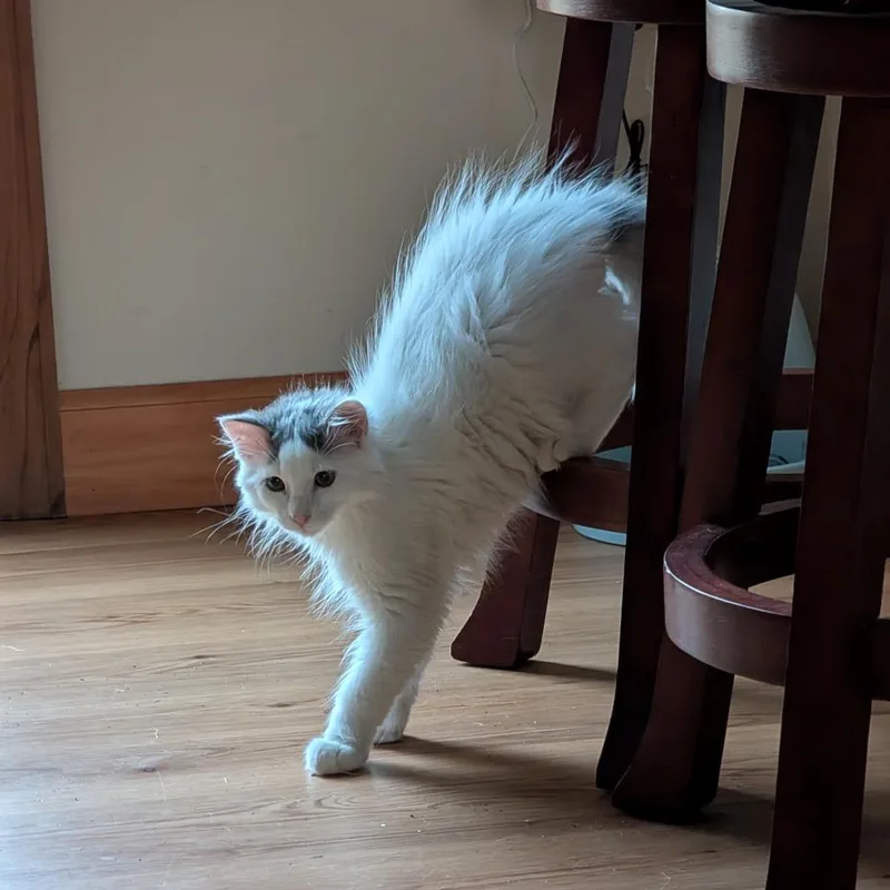 Qtip Aka Tipsy thumbnail 3