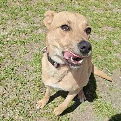 Princess thumbnail 2