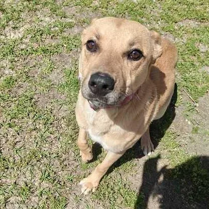 Princess thumbnail 3