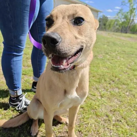 Princess thumbnail 4