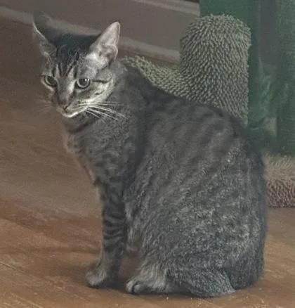 Maryland  `a Priority