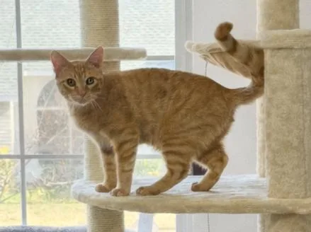 Sonny thumbnail 4