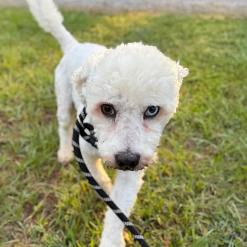 Coco Berto thumbnail 2