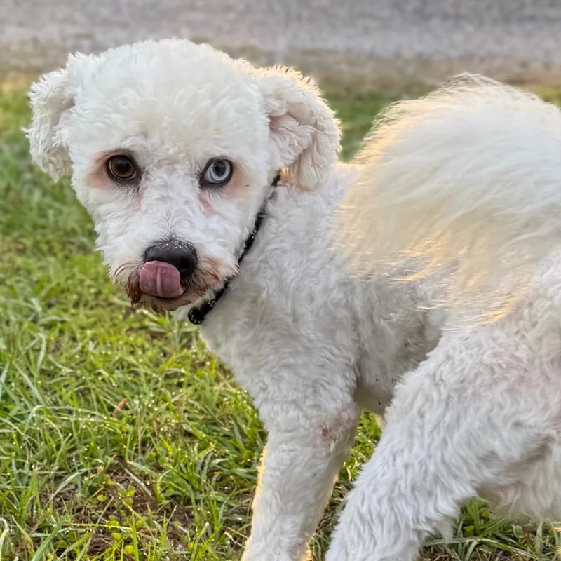 Coco Berto thumbnail 3