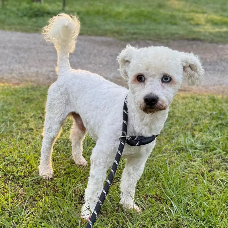 Coco Berto thumbnail 4