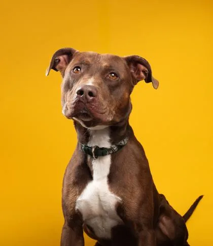 Neutrino thumbnail 2