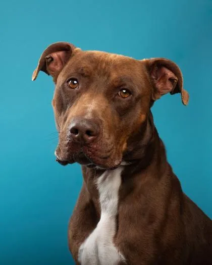 Neutrino thumbnail 3