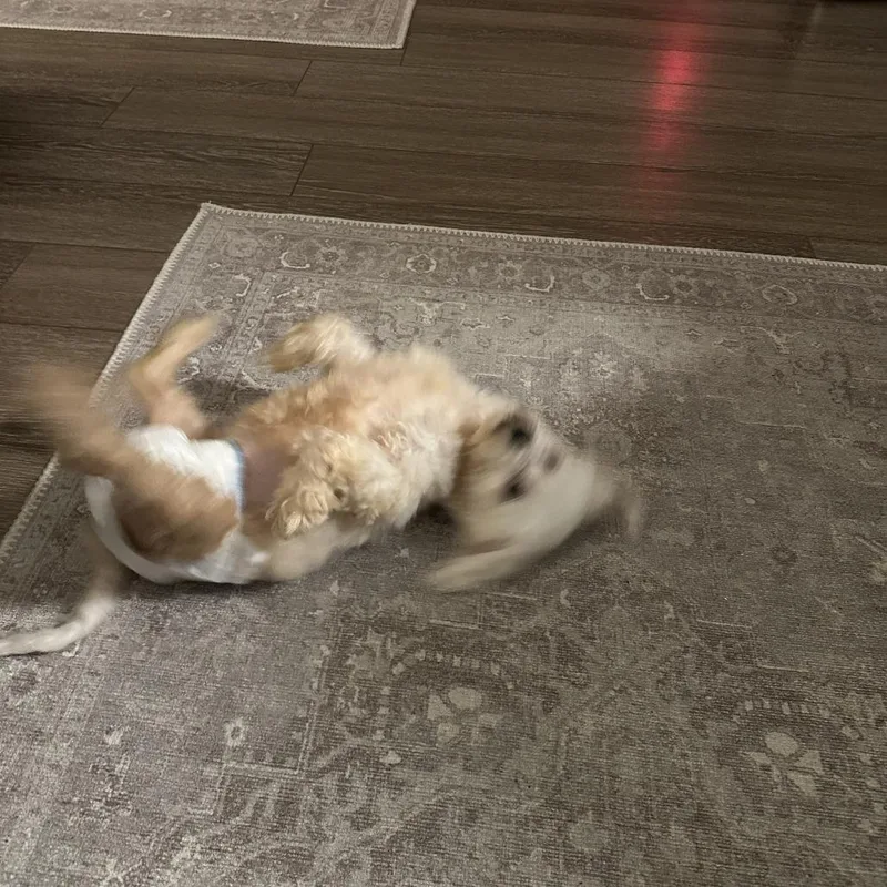 Marcia Beth thumbnail 2