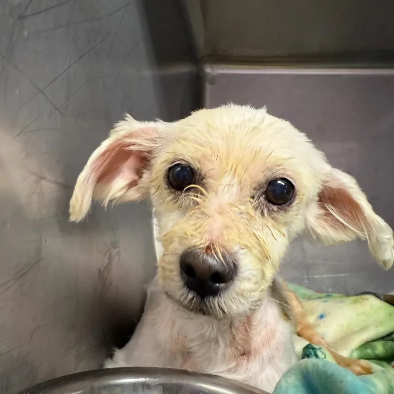 Marcia Beth thumbnail 3