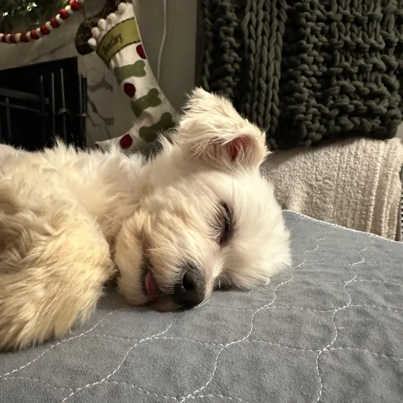 Marcia Beth thumbnail 4