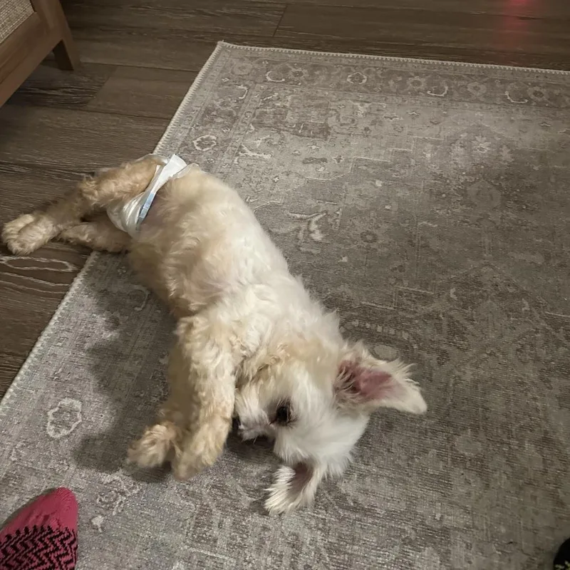 Marcia Beth thumbnail 5