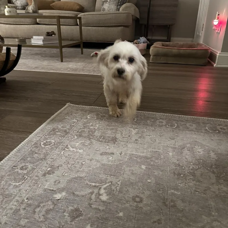 Marcia Beth thumbnail 6