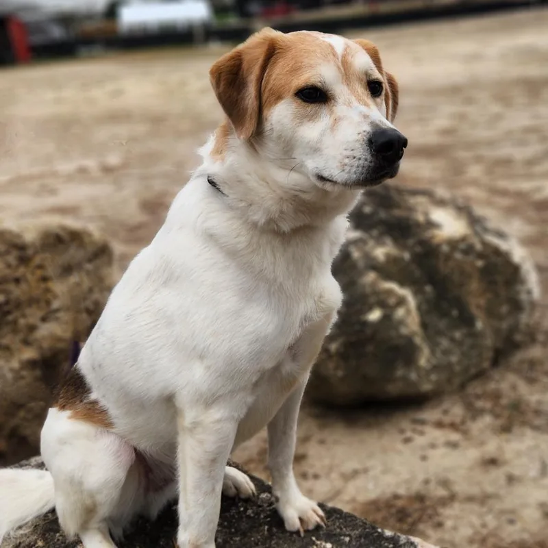 Monty Jum thumbnail 2