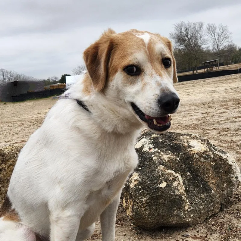 Monty Jum thumbnail 3