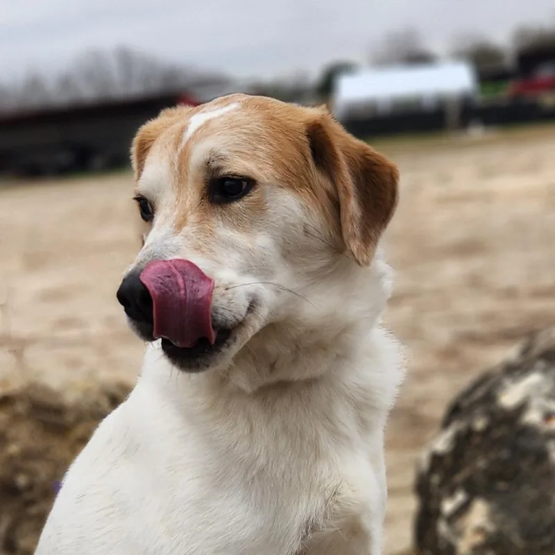 Monty Jum thumbnail 4