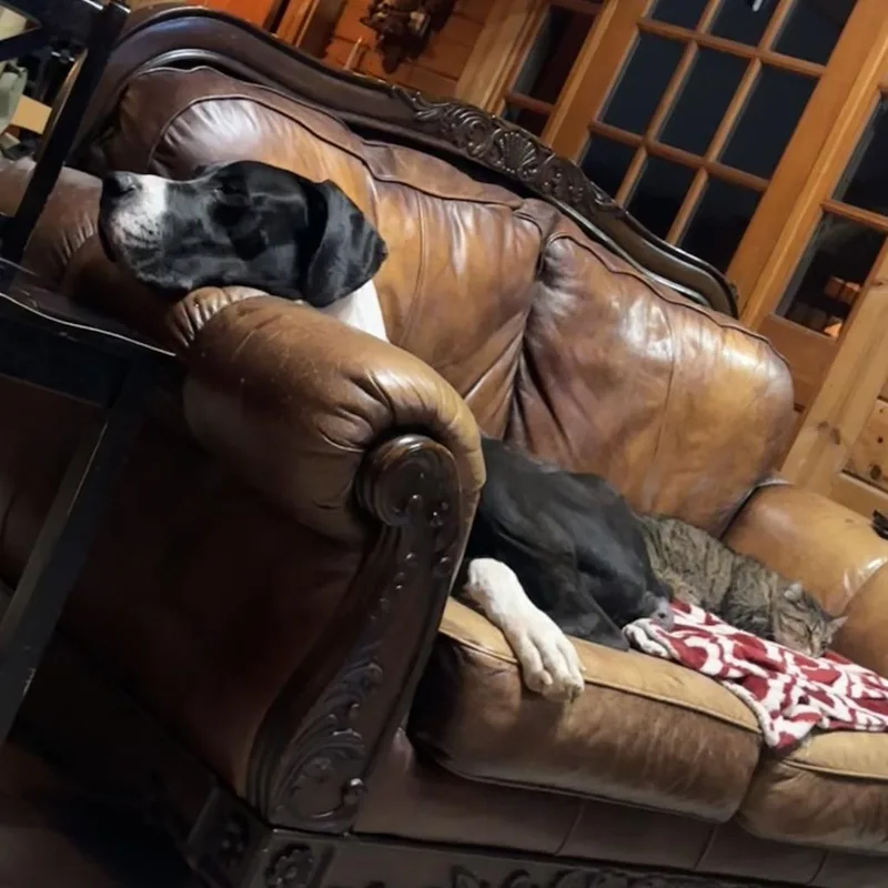 Sammy thumbnail 2