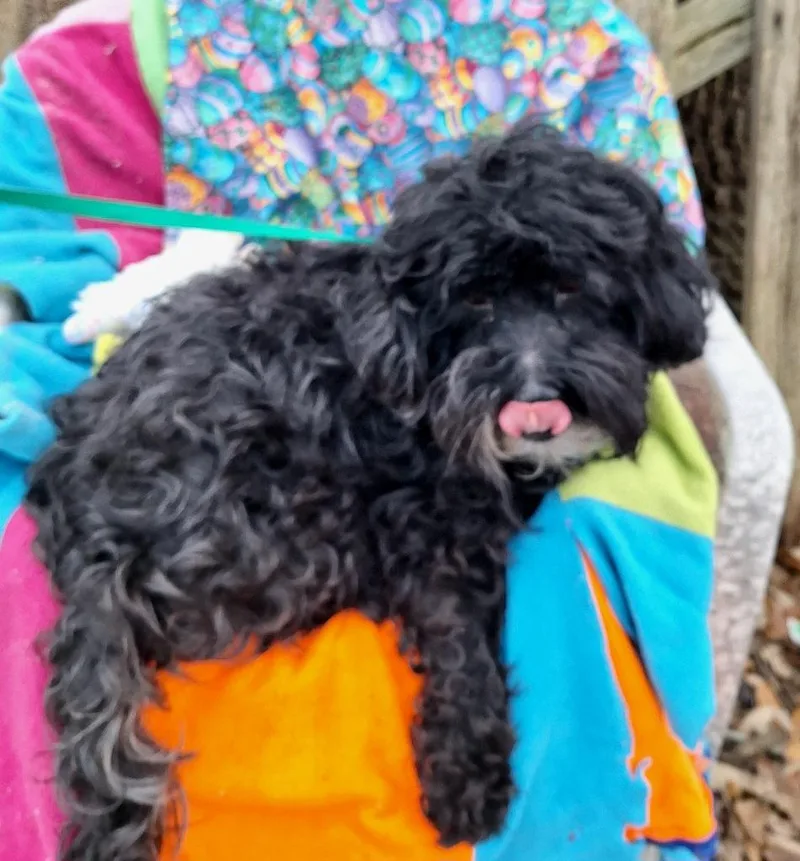 Nombeko Wvt thumbnail 6