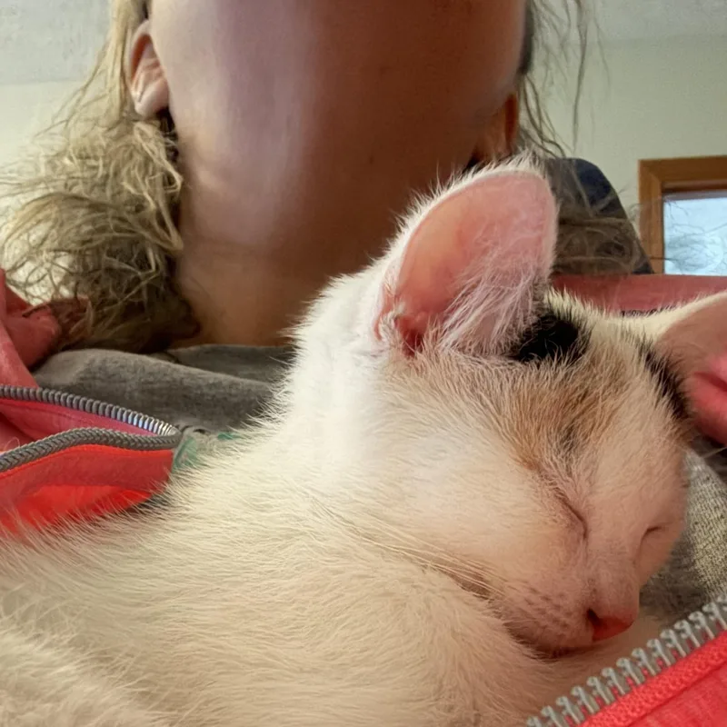 Debbie thumbnail 3