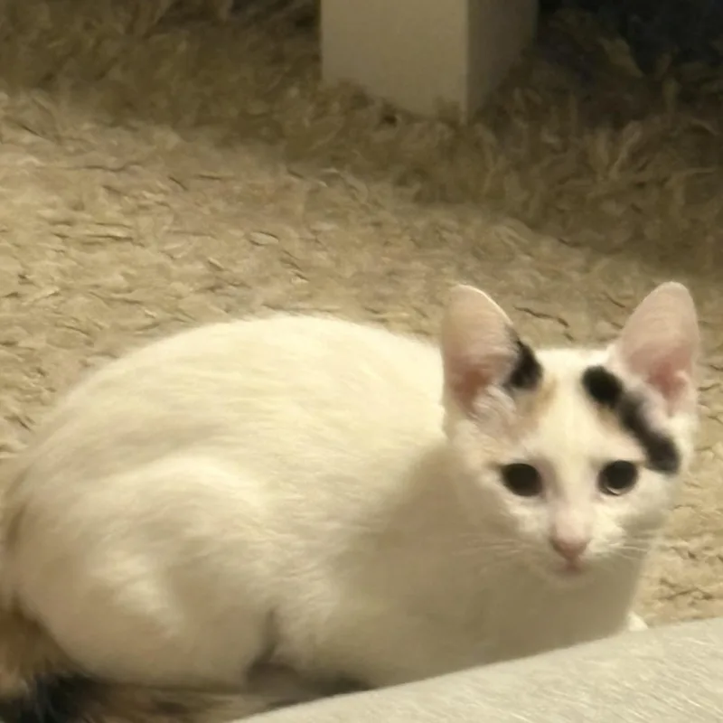 Debbie thumbnail 5