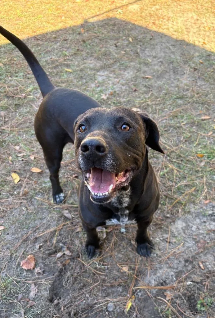 Zeus