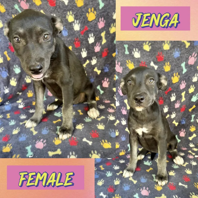 Jenga thumbnail 2