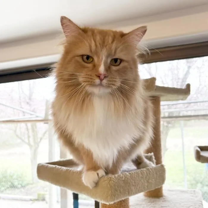 Wilbur thumbnail 2