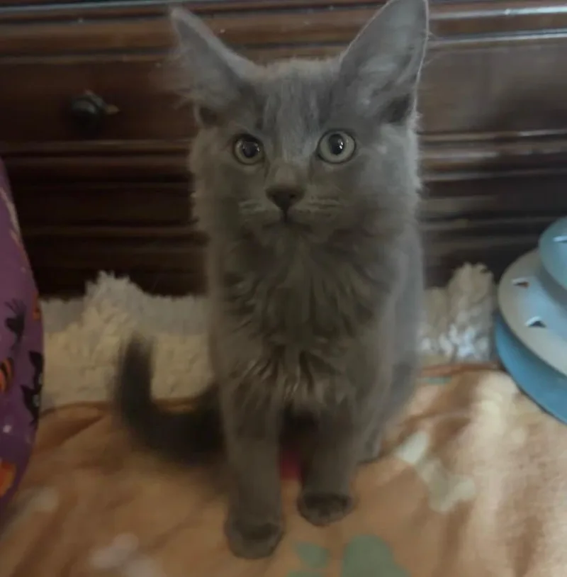 Sabrina thumbnail 3