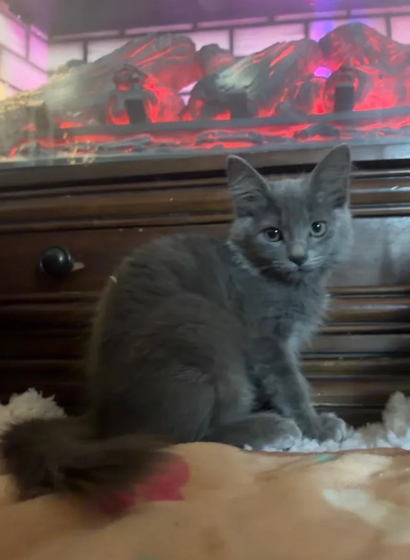 Sabrina thumbnail 4