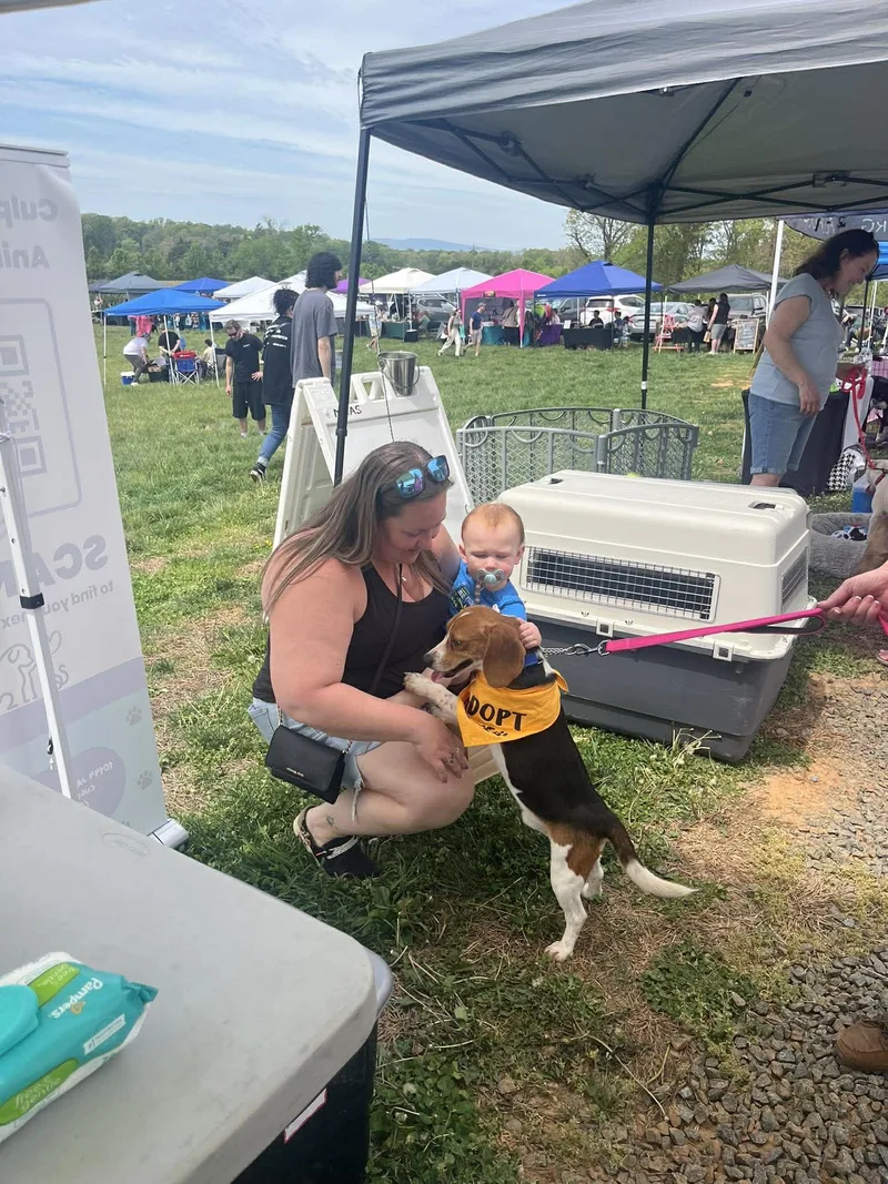 Hoppy Gilmore thumbnail 5