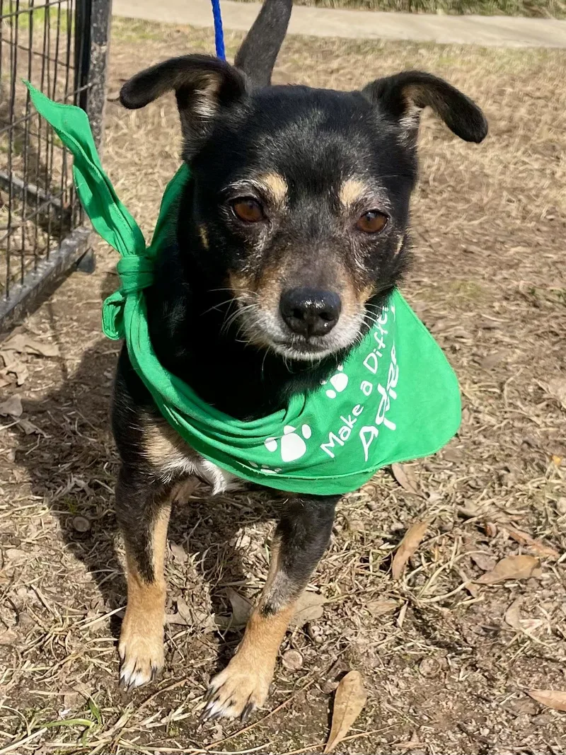 Florence In Texarkana Tx thumbnail 2