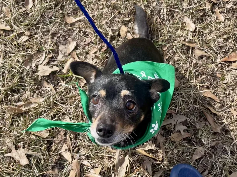 Florence In Texarkana Tx thumbnail 4