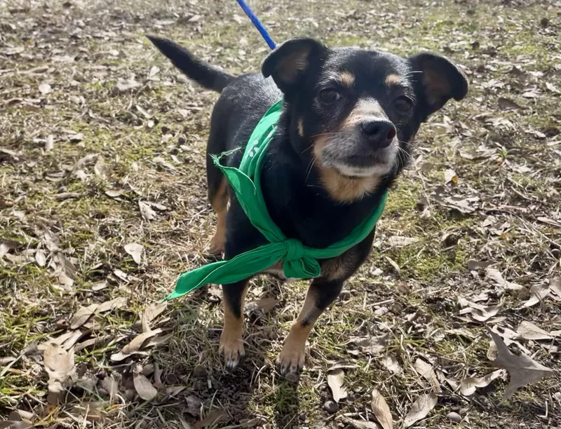 Florence In Texarkana Tx thumbnail 6