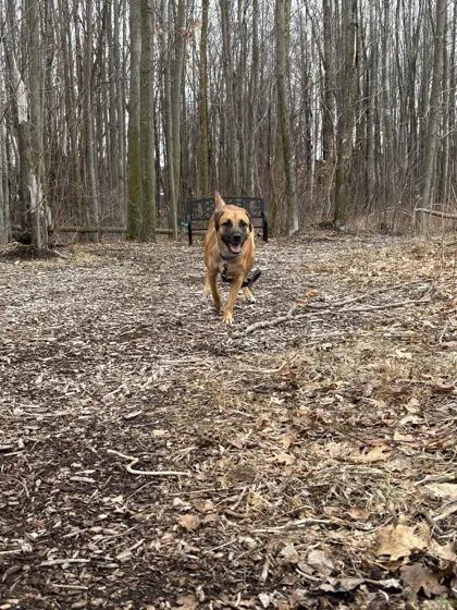 Mimi