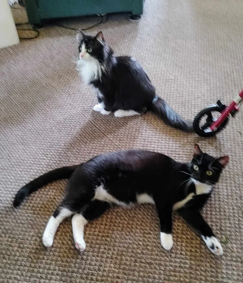 Cape & Yurt Bonded thumbnail 3