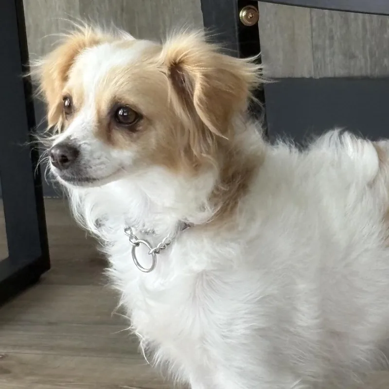 Chloe thumbnail 2