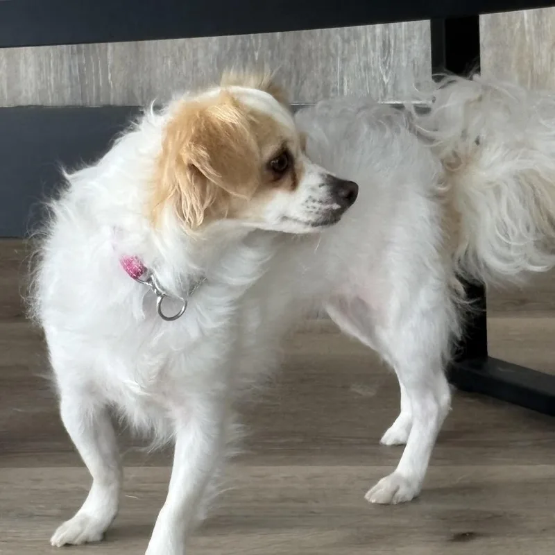 Chloe thumbnail 3